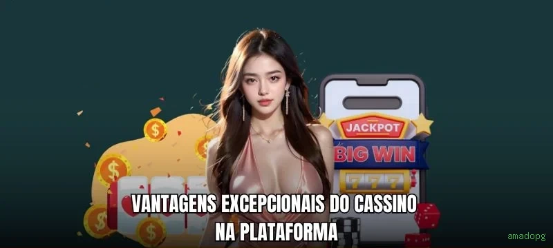 Conta amadopg sincronizada site e app